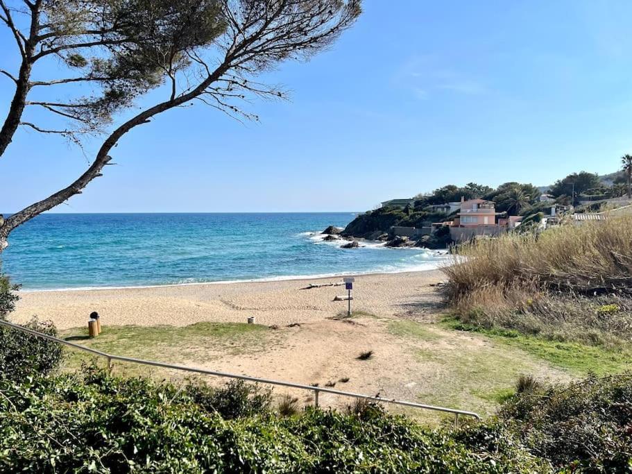 Miroir De La Mer, Vue A 50m *